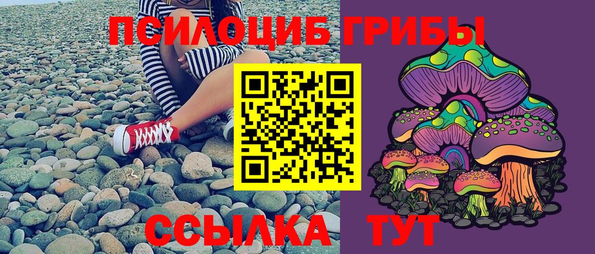 Псилоцибиновые грибы Cubensis Воскресенск